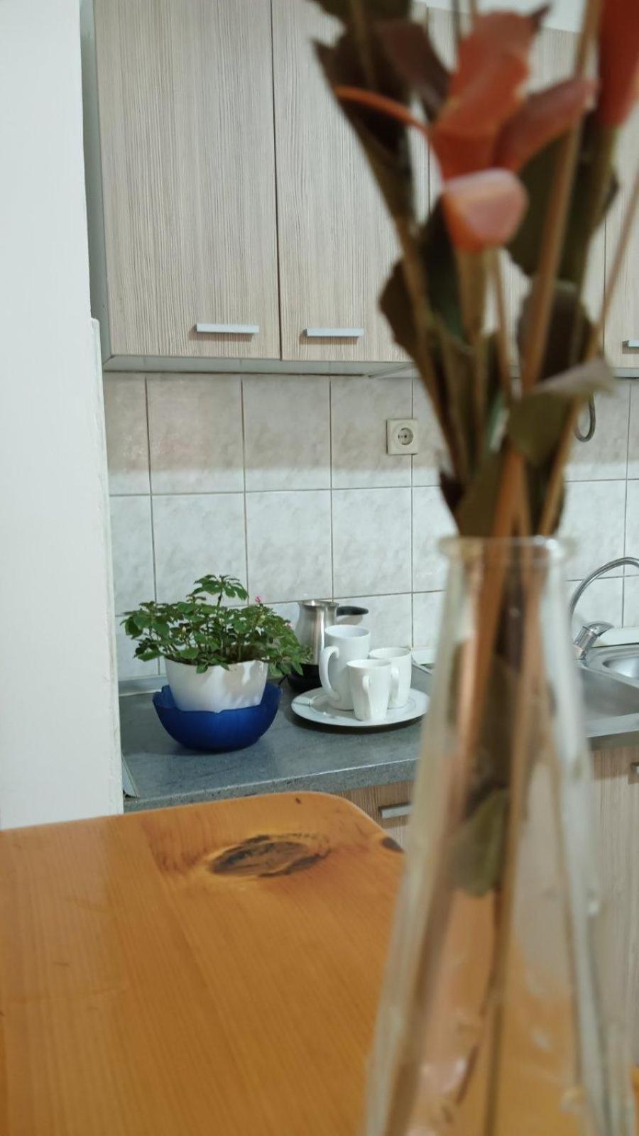 סקופיה Villa Re3Ca מראה חיצוני תמונה
